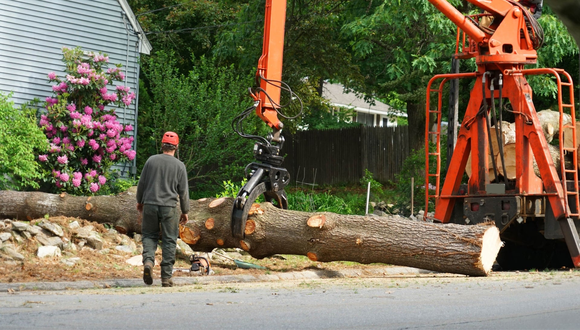 Local partner for Tree removal services in Rochester